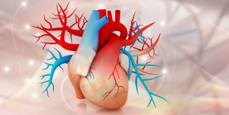Аномальный дренаж легочных вен: полное руководство по диагностике и лечению